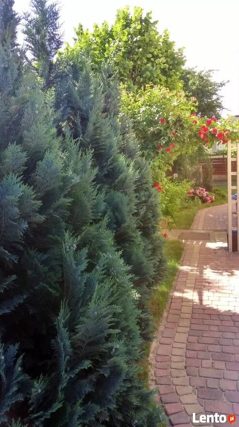 dom wolnostojący, 6 pokoi Łódź Górna, ul. Obywatelska. Zdjęcie 4