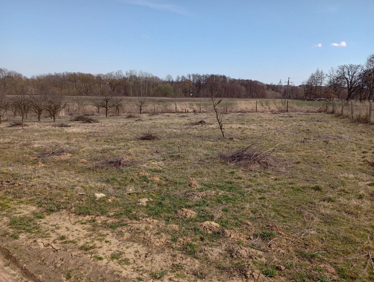 Działka budowlana Brochocin, Brak. Zdjęcie 3