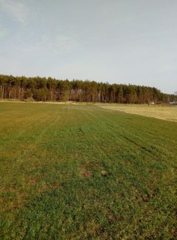 Działka budowlana Sulęcinek, ul. Lipowa. Zdjęcie 1