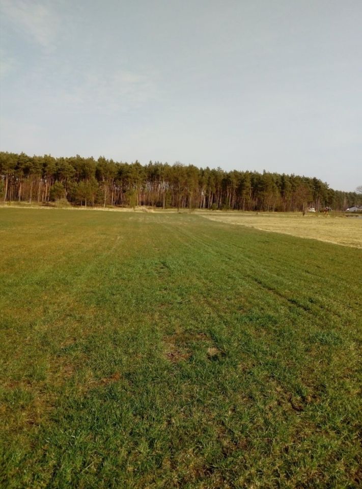 Działka budowlana Sulęcinek, ul. Lipowa