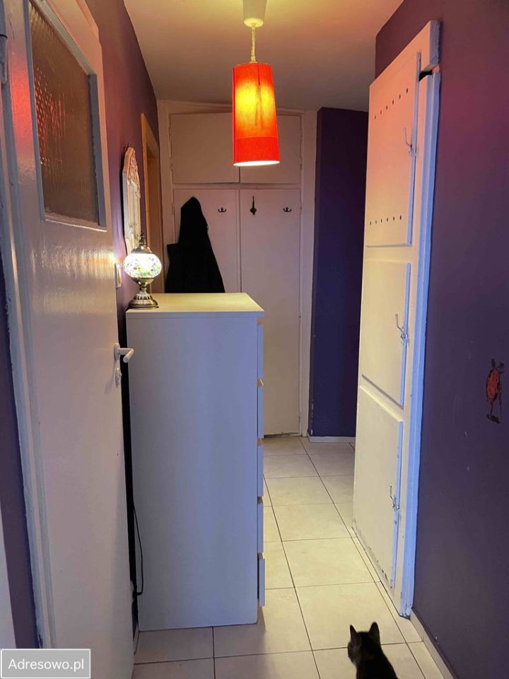 Mieszkanie 1-pokojowe Warszawa Praga-Północ. Zdjęcie 2