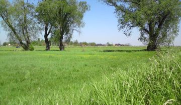 Działka rolna Galowice