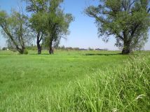 Działka rolna Galowice