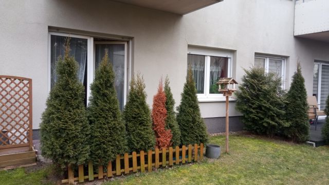 Mieszkanie 2-pokojowe Wrocław Krzyki, ul. Przyjaźni. Zdjęcie 1