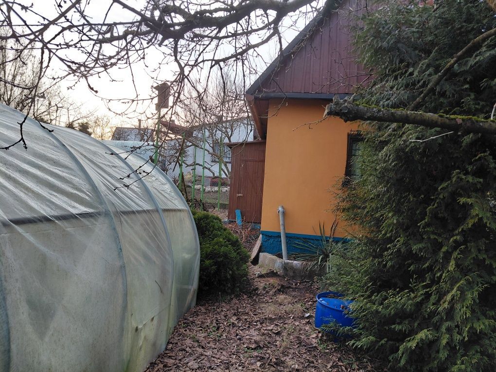 Działka rod Gryfino. Zdjęcie 6