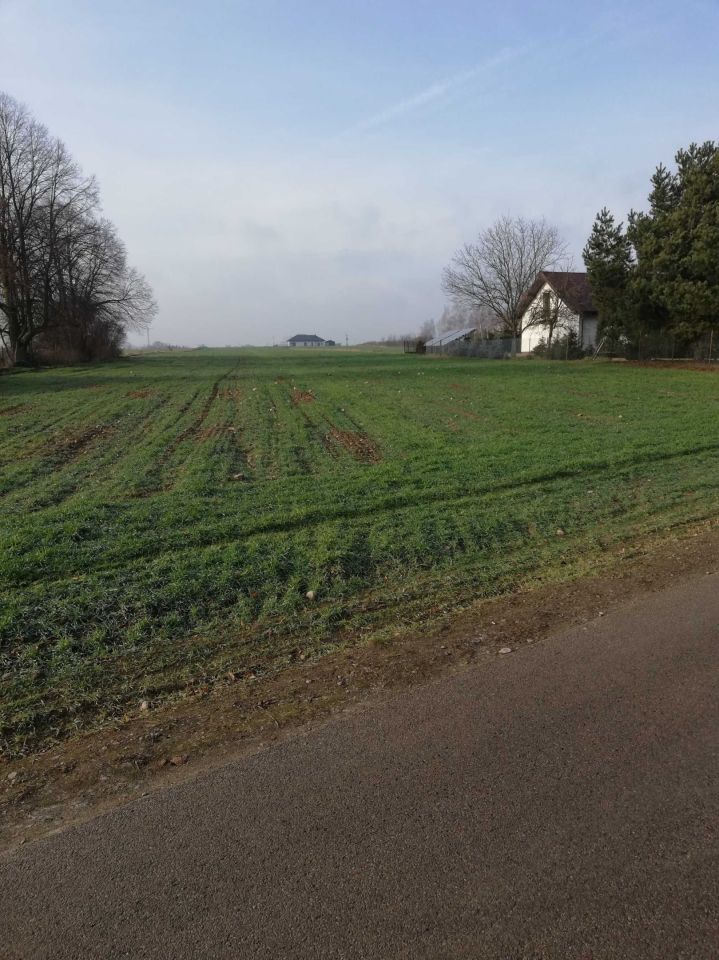 Działka budowlana Borkowo Kościelne. Zdjęcie 6