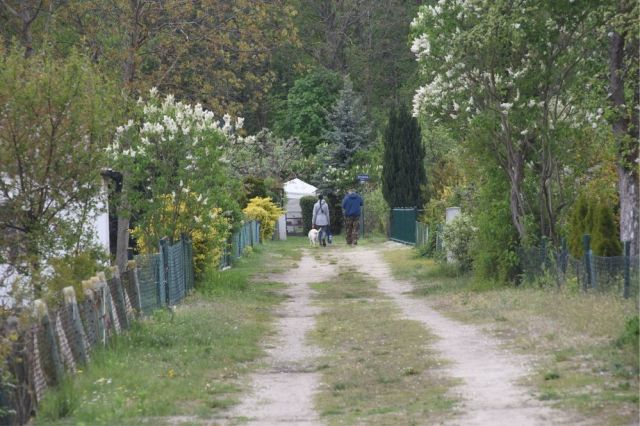 Działka rekreacyjna Kostrzyn nad Odrą Osiedle Leśne. Zdjęcie 1