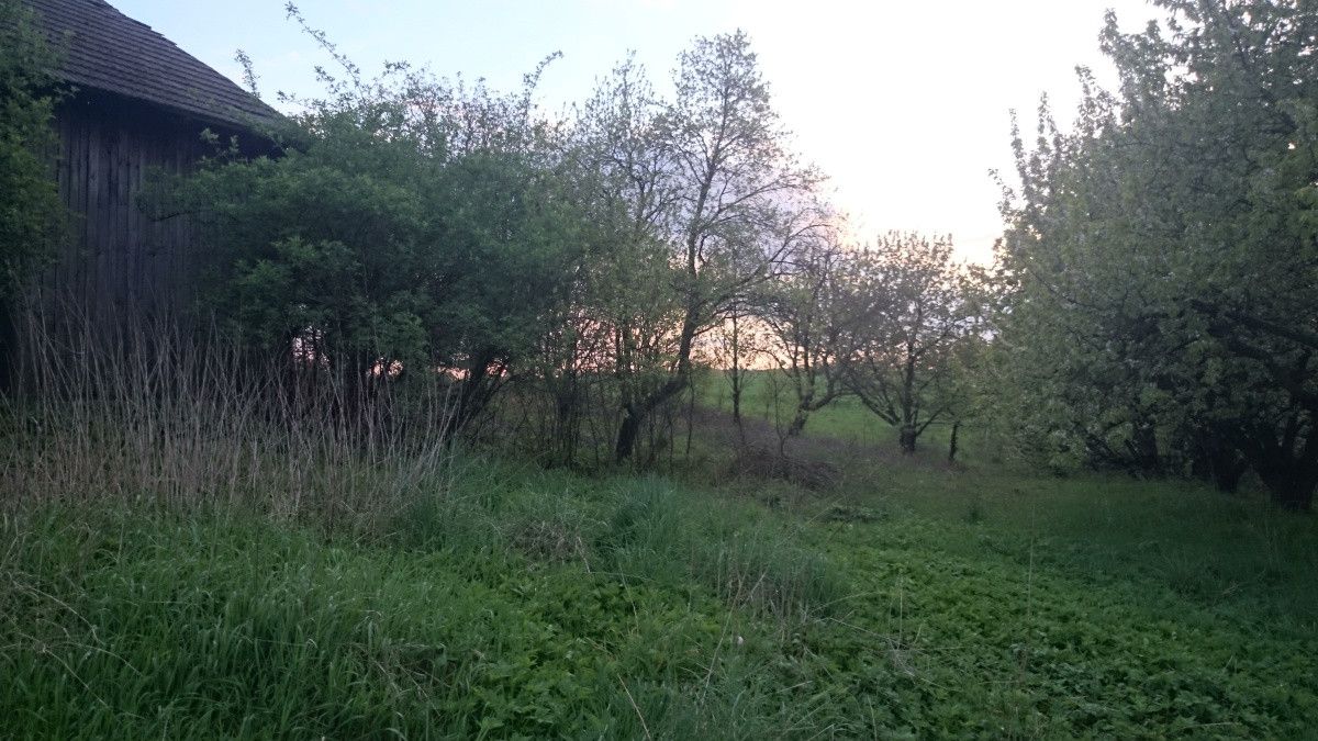 Działka siedliskowa Maszków, ul. Zamoście. Zdjęcie 2