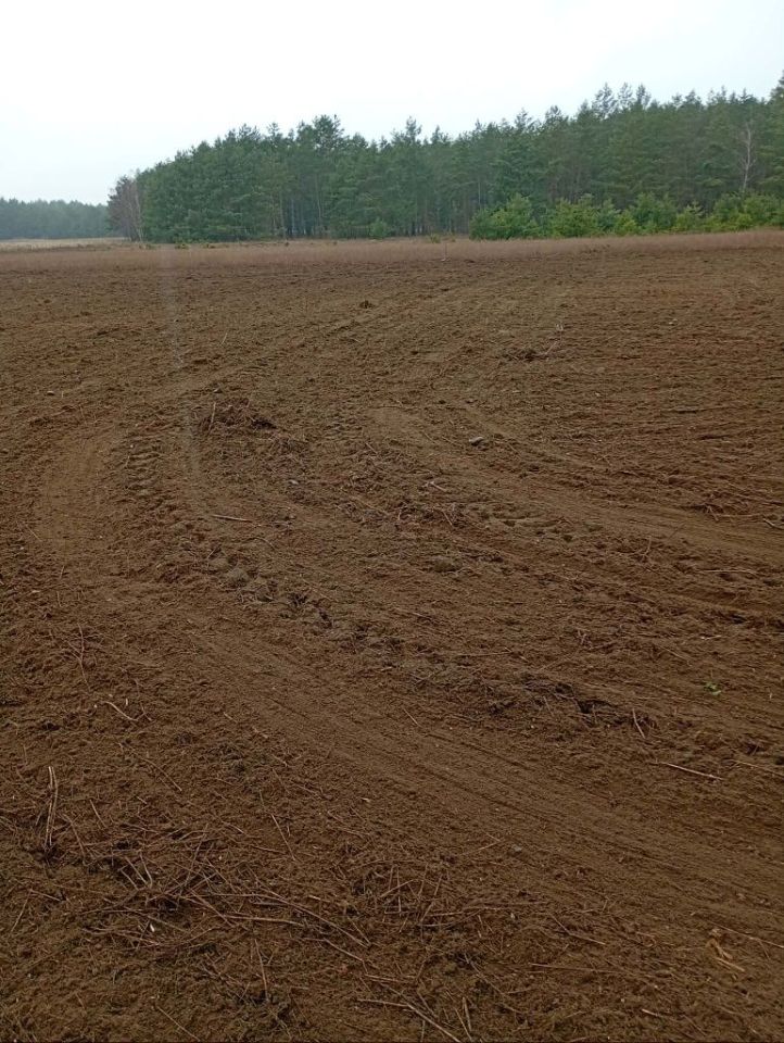 Działka budowlana Rodzone. Zdjęcie 1