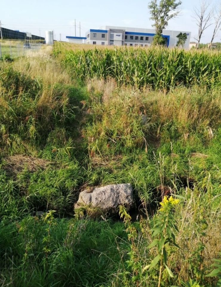 Działka rolna Gliwice Bojków, ul. Rolników. Zdjęcie 7