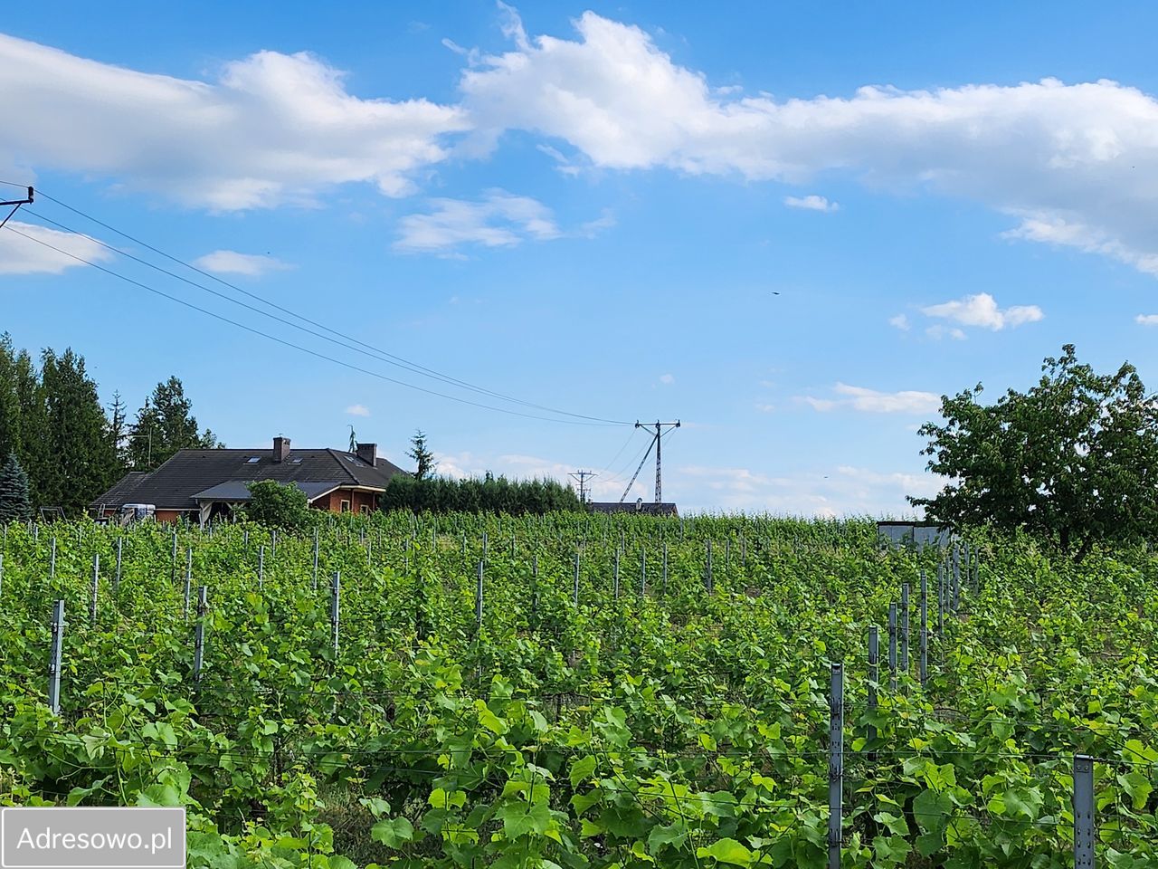 dom wolnostojący Bycz. Zdjęcie 17