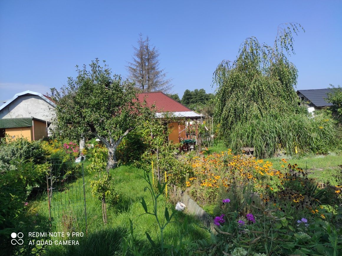 Działka rod Giżycko. Zdjęcie 4