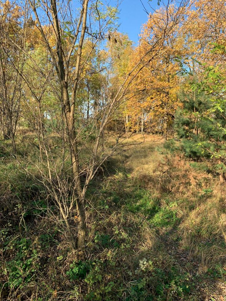 Działka budowlana Grębocin Kolonia Papowska, ul. Okrężna. Zdjęcie 9