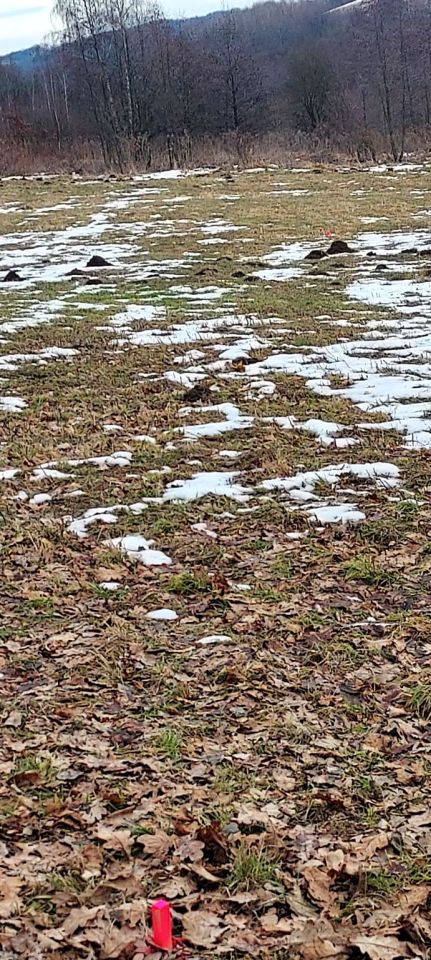 Działka rolno-budowlana Chorągwica. Zdjęcie 2