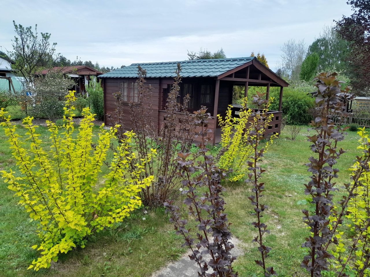 Działka rod Wadąg, Lasy Państwowe. Zdjęcie 7
