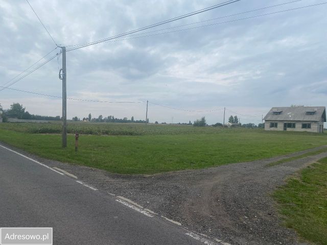 Działka siedliskowa Czarnów-Towarzystwo. Zdjęcie 1