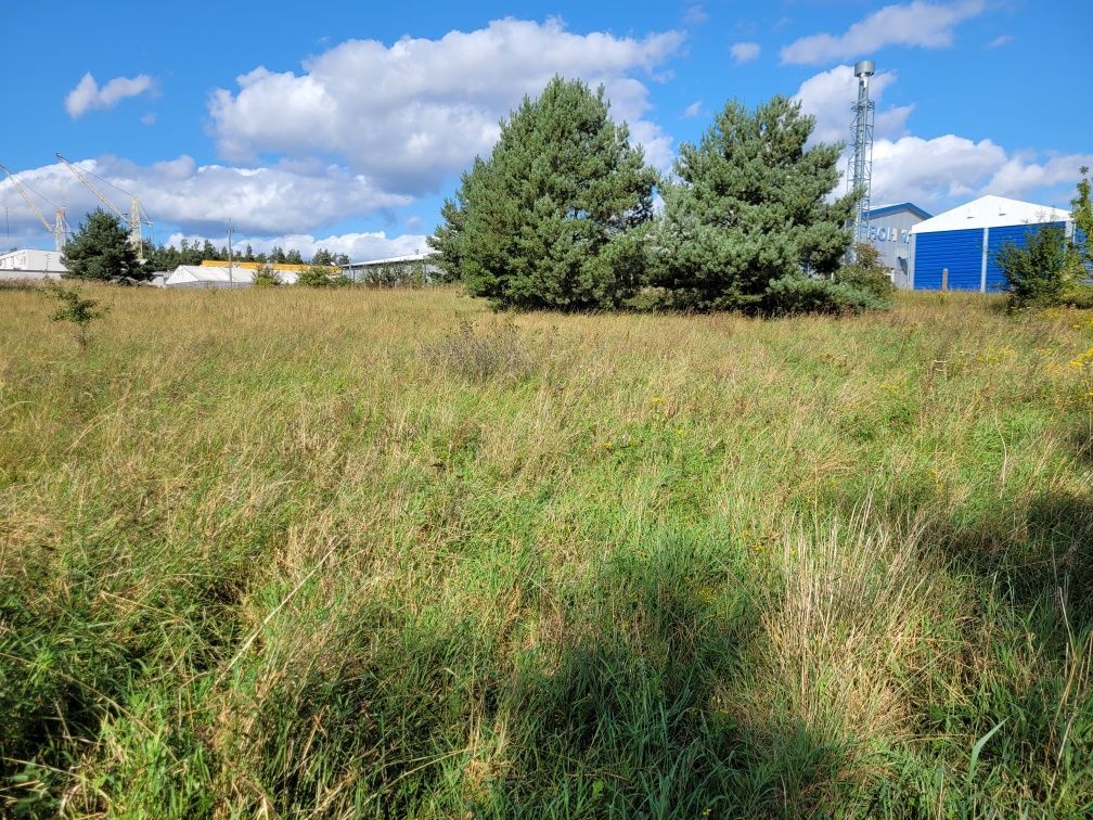 Działka rolna Chociwel. Zdjęcie 3