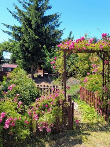 Działka rekreacyjna Gorzów Wielkopolski. Zdjęcie 1