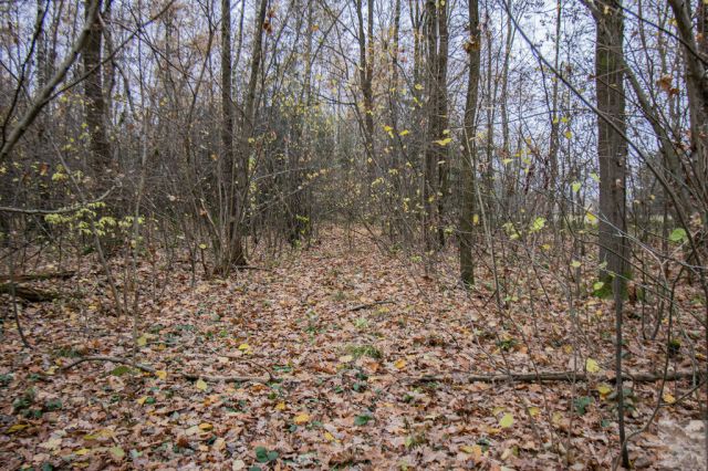 Działka Majdan Sieniawski. Zdjęcie 8