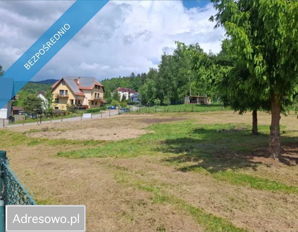 Działka inwestycyjna Kudowa-Zdrój. Zdjęcie 4