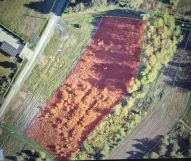 Działka budowlana Mielec Rzochów, ul. Jagodowa