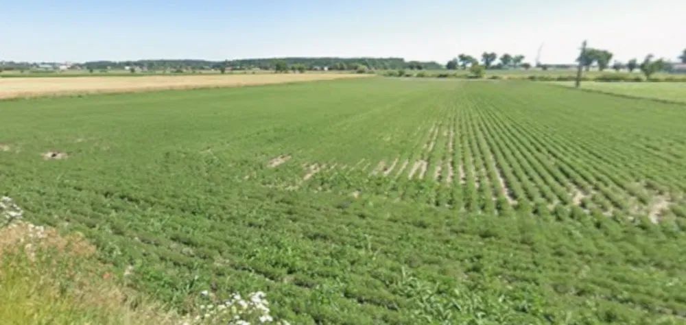 Działka budowlana Czołówek. Zdjęcie 5