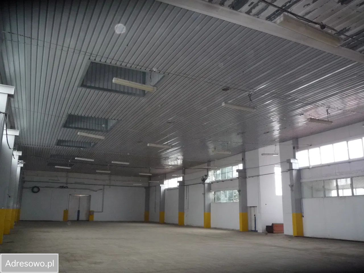Hala/magazyn Pabianice. Zdjęcie 1
