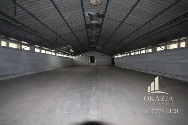 Lokal Wysoka Głogowska. Zdjęcie 6