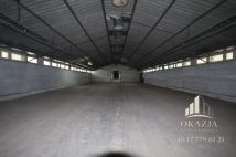 Lokal Wysoka Głogowska. Zdjęcie 4