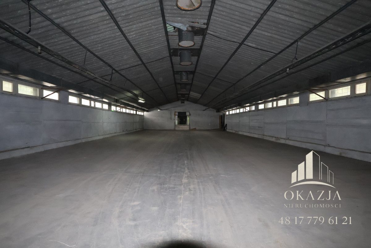 Lokal Wysoka Głogowska. Zdjęcie 6