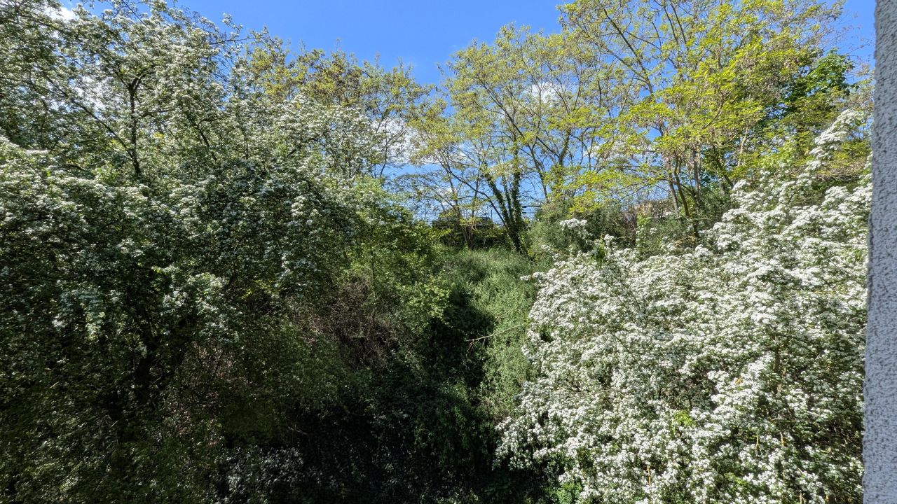 Mieszkanie 2-pokojowe Szczecin Drzetowo, ul. Willowa. Zdjęcie 24
