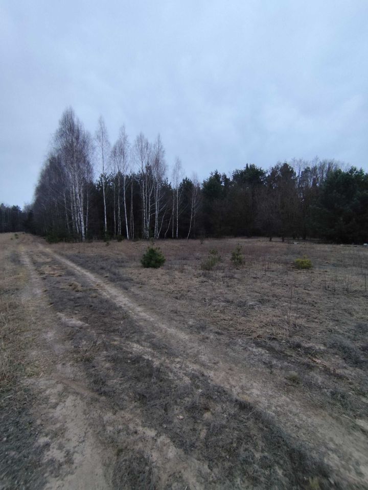 Działka budowlana Gołąbek. Zdjęcie 4