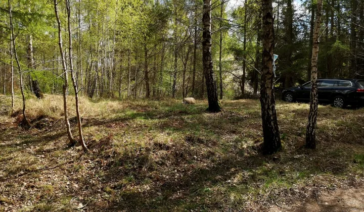 Działka rekreacyjna Linówko