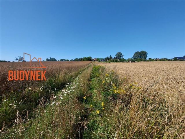 Działka rolna Kopnica. Zdjęcie 15