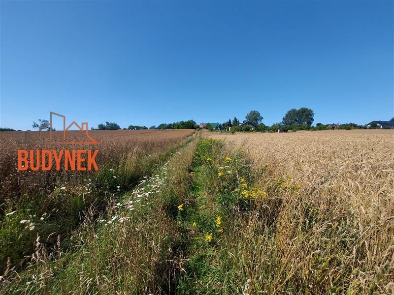 Działka rolna Kopnica. Zdjęcie 15