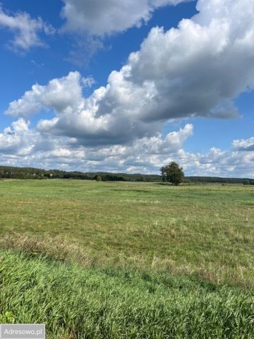 Działka rolna Biesówko. Zdjęcie 1