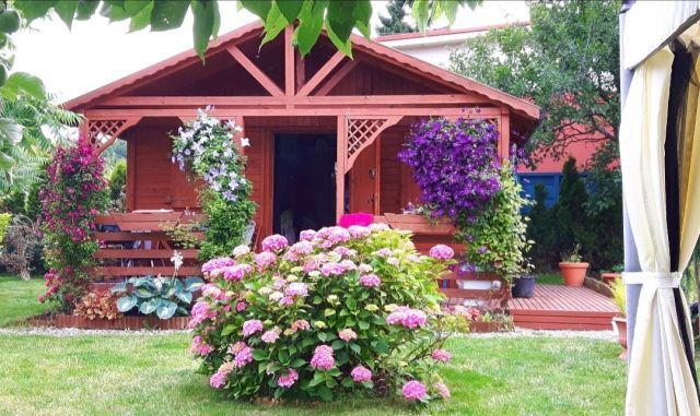 Działka rod Gdynia Wielki Kack, ul. Grodnieńska. Zdjęcie 1