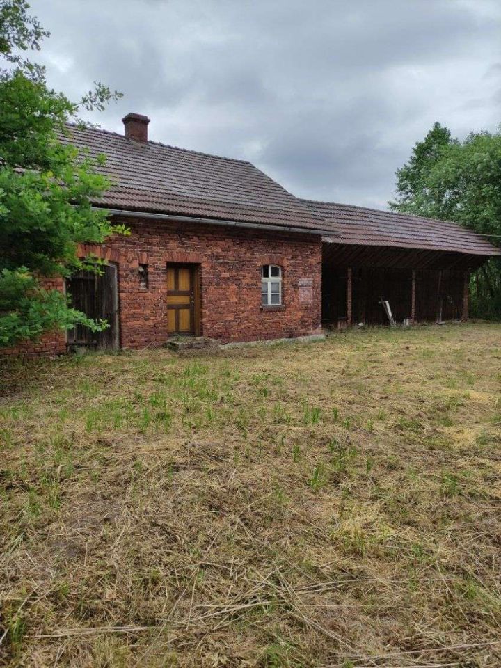 Działka rolna Osiecko. Zdjęcie 4