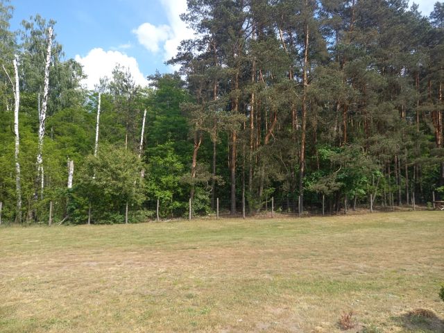 Działka inwestycyjna Wręcza. Zdjęcie 3