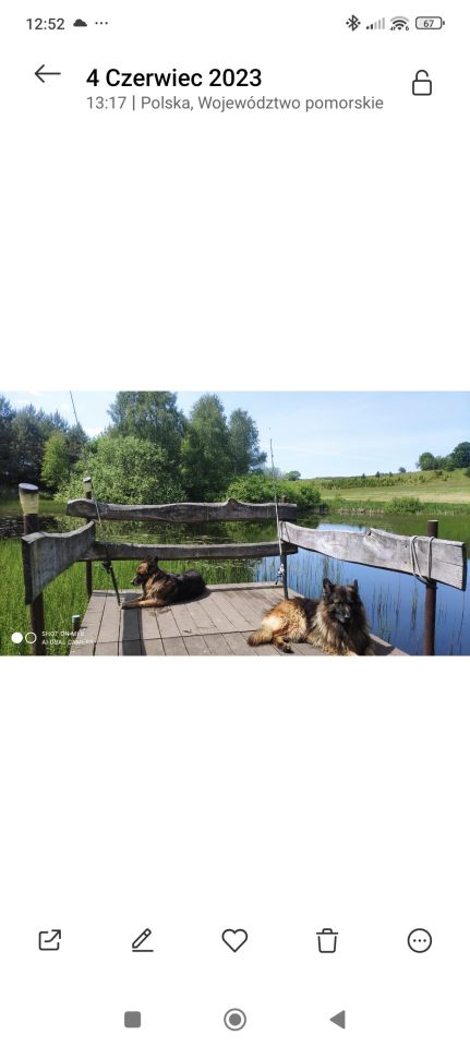 siedlisko, 4 pokoje Kaplica. Zdjęcie 8