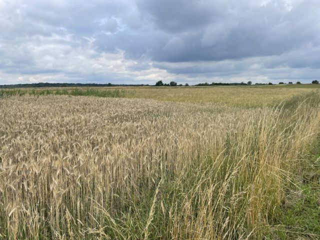 Działka inna Strzebiń, ul. Kosmonautów. Zdjęcie 2
