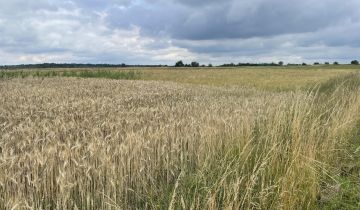 Działka inna Strzebiń, ul. Kosmonautów