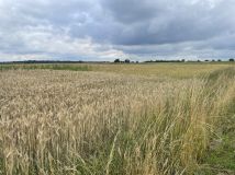 Działka inna Strzebiń, ul. Kosmonautów. Zdjęcie 1