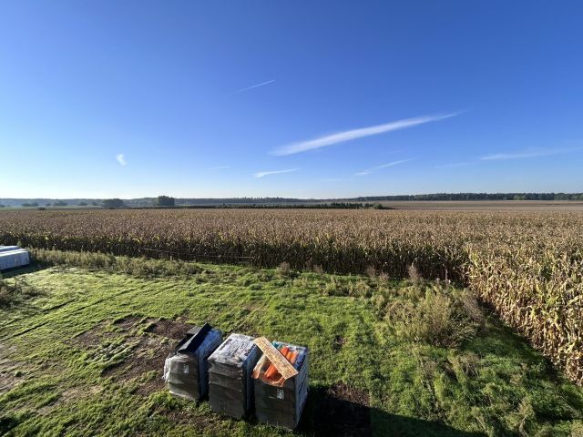 bliźniak, 4 pokoje Nieciszów, ul. Bukietowa. Zdjęcie 3