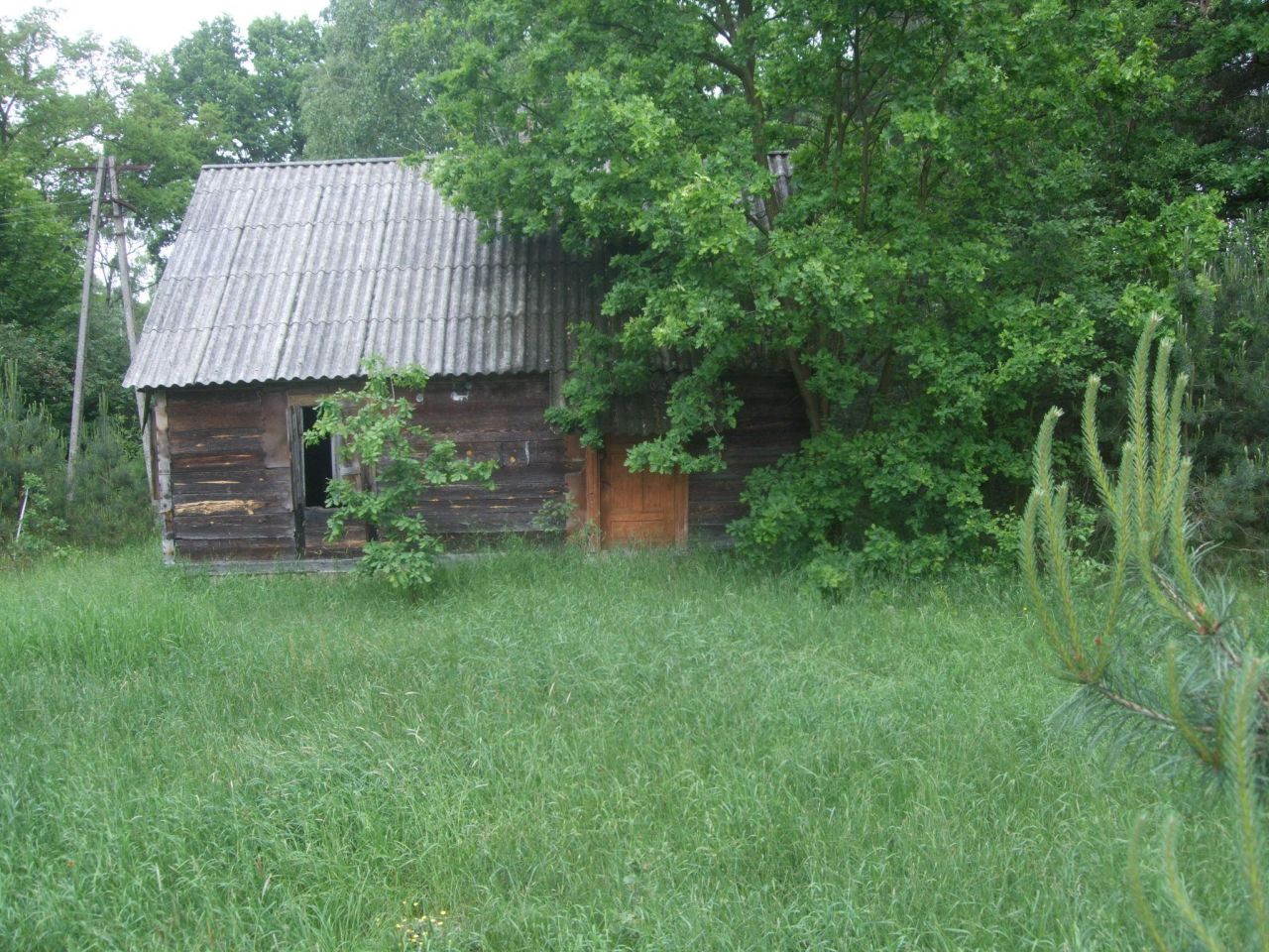 Działka siedliskowa Tymianka. Zdjęcie 2
