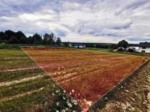 Działka rolno-budowlana Zamiany. Zdjęcie 1