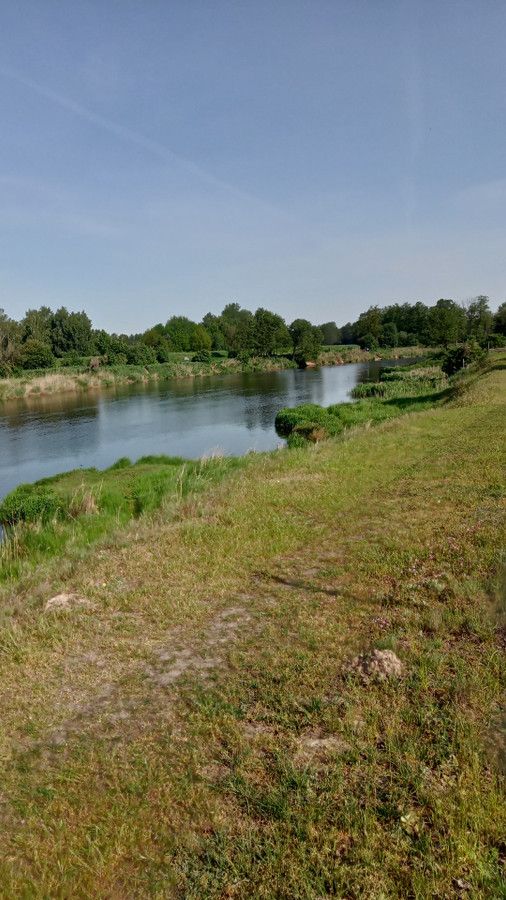 Działka rolna Skęczniew. Zdjęcie 6