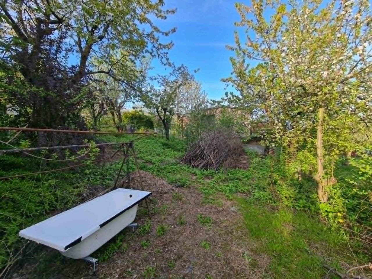 Działka rod Skoczów, Stalmacha. Zdjęcie 11