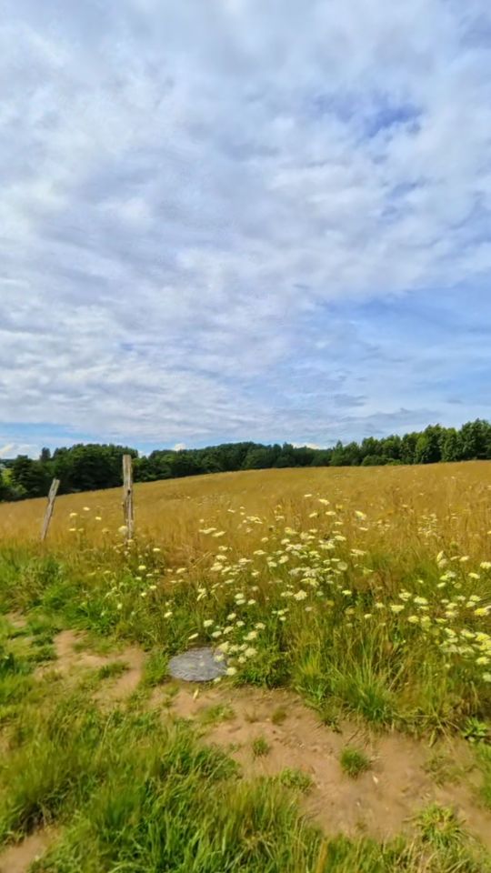 Działka budowlana Siemiany. Zdjęcie 2