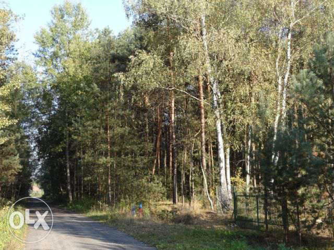 Działka leśna Nowy Prażmów, ul. Leśna. Zdjęcie 7